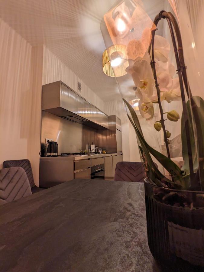 Spacious Two-Bedroom Apartment In The City Center Krakkó Kültér fotó