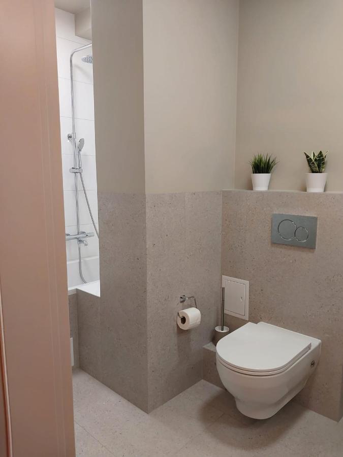 Spacious Two-Bedroom Apartment In The City Center Krakkó Kültér fotó